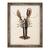 Tablou inramat - Alison Cooper - Homar din Solva, 2014, 60 x 80 cm - - Roveli