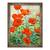 Tablou inramat - Christopher Ryland - Maci Rosii de Gradina, 60 x 80 cm - - Roveli