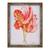 Tablou inramat - Joan Thewsey - Doua Lalele cu volanase, 2000, 60 x 80 cm - - Roveli
