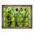 Tablou inramat - Scott J. Davis - Verde de primavara, 60 x 80 cm - - Roveli