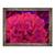 Tablou inramat - Scott J. Davis - Garoafe, 60 x 80 cm - - Roveli