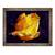 Tablou inramat - Scott J. Davis - Trandafir galben, 60 x 80 cm - - Roveli
