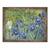 Tablou inramat - Vincent van Gogh - Irisi II, 60 x 80 cm - - Roveli