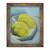 Tablou inramat - Sara Studd - Gutui pe o farfurie alba, 50 x 60 cm - - Roveli