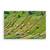 Tablou Canvas - Natura, Peisaj, Romania, 40 x 60 cm - - Roveli