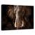 Tablou canvas - Tusker, Nature, Elefant, Maiestuos, Colti, 80 x 120 cm - - Roveli