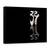 Tablou Canvas - Balet, Marime: 60 x 80 cm - - Roveli