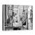 Tablou Canvas - Caine, Marime: 60 x 80 cm - - Roveli
