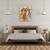 Tablou canvas - Femei Africane Dansand 2, Marime: 60 x 75 cm - 3- Roveli