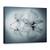 Tablou Canvas - Frumusete Efemera, Marime: 60 x 80 cm - - Roveli