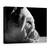 Tablou Canvas - Printre Riduri, Marime: 60 x 80 cm - - Roveli