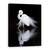 Tablou Canvas - Privind, Marime: 60 x 80 cm - - Roveli