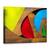 Tablou Canvas - A.F.A.S., Marime: 50 x 70 cm - - Roveli