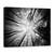 Tablou Canvas - Copaci, Marime: 60 x 80 cm - - Roveli