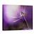 Tablou Canvas - In Nuante De Violet, Marime: 60 x 80 cm - - Roveli