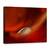 Tablou Canvas - Picatura, Marime: 50 x 70 cm - - Roveli