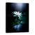 Tablou Canvas - Reflectie, Marime: 50 x 70 cm - - Roveli