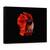 Tablou Canvas - Rosu, Marime: 50 x 70 cm - - Roveli