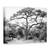 Tablou Canvas - Sub Salcam, Marime: 50 x 70 cm - - Roveli
