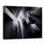 Tablou Canvas - Aparitie, Marime: 50 x 70 cm - - Roveli