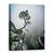 Tablou Canvas - In Ciuda Greutatilor, Marime: 50 x 70 cm - - Roveli