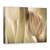 Tablou Canvas - Lalele, Marime: 50 x 70 cm - - Roveli