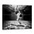 Tablou Canvas - Mercan, Marime: 50 x 70 cm - - Roveli