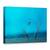Tablou Canvas - Pastreaza Echilibrul, Marime: 50 x 70 cm - - Roveli