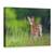 Tablou Canvas - Primavara Cafenie, Marime: 50 x 70 cm - - Roveli