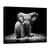 Tablou Canvas - Putere, Marime: 50 x 70 cm - - Roveli