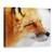 Tablou Canvas - Vulpe Rosie, Marime: 50 x 70 cm - - Roveli