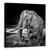 Tablou Canvas - Apus La Waterhole, Marime: 60 x 60 cm - - Roveli