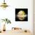 Tablou Canvas - Conopida, Marime: 60 x 60 cm - 4- Roveli