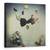 Tablou Canvas - Fotografie, Marime: 60 x 60 cm - - Roveli