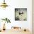 Tablou Canvas - Fotografie, Marime: 60 x 60 cm - 4- Roveli
