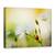 Tablou Canvas - Frumuseti De Vara, Marime: 50 x 70 cm - - Roveli
