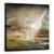 Tablou Canvas - In Spatele Realitatii, Marime: 60 x 60 cm - - Roveli