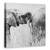 Tablou Canvas - Itrunk, Marime: 60 x 60 cm - - Roveli