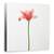 Tablou Canvas - Lalea Cu Tulpina Lunga, Marime: 60 x 60 cm - - Roveli