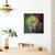 Tablou Canvas - Metomorfoza, Marime: 60 x 60 cm - 4- Roveli
