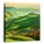 Tablou Canvas - Mucigliani, Marime: 60 x 60 cm - - Roveli