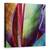 Tablou Canvas - Piele De Banana, Marime: 60 x 60 cm - - Roveli
