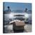 Tablou Canvas - Pisica, Marime: 60 x 60 cm - - Roveli
