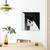 Tablou Canvas - Pisica Neagra, Marime: 60 x 60 cm - 4- Roveli