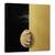 Tablou Canvas - Pisica Timida, Marime: 60 x 60 cm - - Roveli