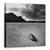 Tablou Canvas - Pista De Curse, Marime: 60 x 60 cm - - Roveli