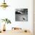 Tablou Canvas - Pista De Curse, Marime: 60 x 60 cm - 4- Roveli
