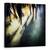 Tablou Canvas - Plimbare De Seara Prin Centrul Orasului, Marime: 60 x 60 cm - - Roveli