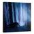 Tablou Canvas - Scufita Rosie, Marime: 60 x 60 cm - - Roveli