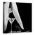 Tablou Canvas - Strange, Marime: 60 x 60 cm - - Roveli
